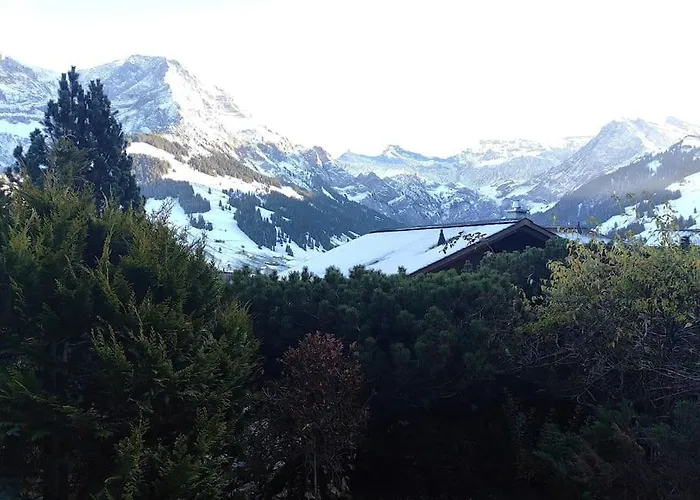 Skirennen Von Der Terrasse Mitverfolgen