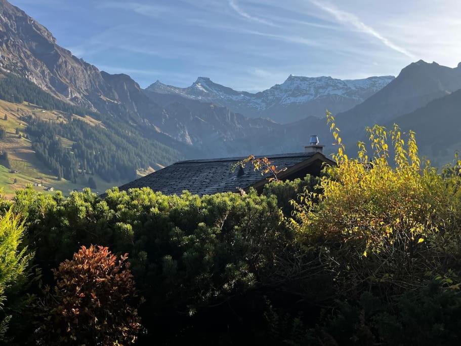 Skirennen Von Der Terrasse Mitverfolgen * Adelboden