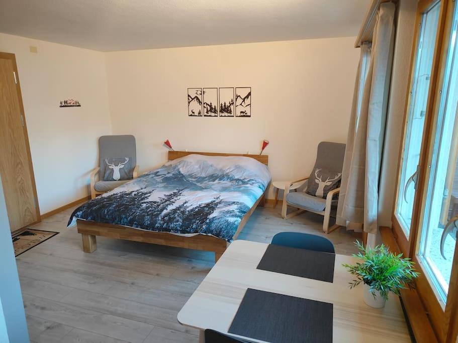 Skirennen Von Der Terrasse Mitverfolgen Apartmán *