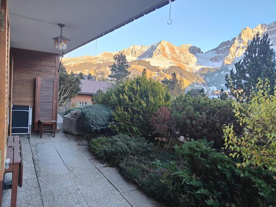 Skirennen Von Der Terrasse Mitverfolgen *