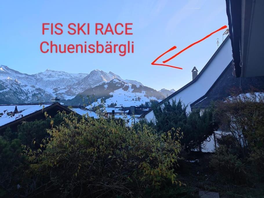 Apartmán Skirennen Von Der Terrasse Mitverfolgen